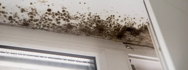 Mould on the ceiling of a house.