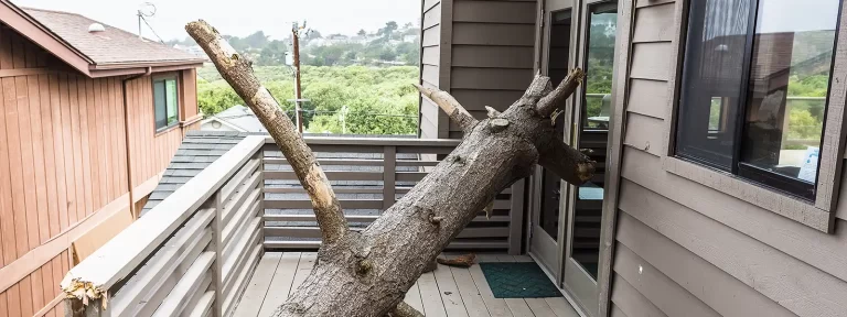Damage to a house from a tree, knocked over by wind.